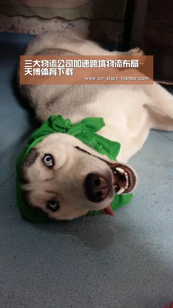 三大物流公司加速跨境物流布局-天博体育下载(图2) 天博体育官网