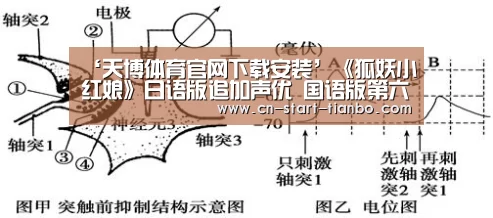‘天博体育官网下载安装’《狐妖小红娘》日语版追加声优 国语版第六季确定制作(图2) 天博体育官网
