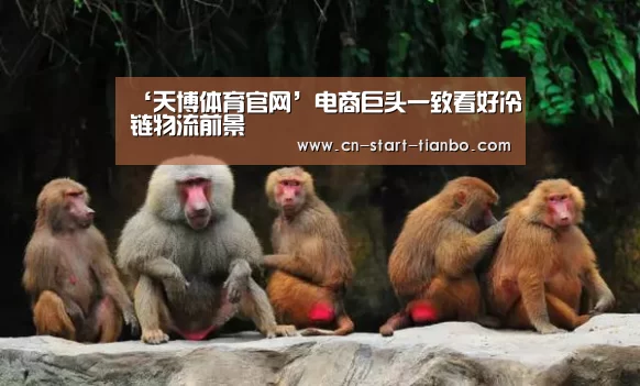 ‘天博体育官网’电商巨头一致看好冷链物流前景(图2) 天博体育官网登录入口